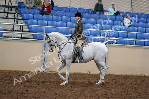 2020 - AB Morgan Horse - Sat, Sept 05 - 14249