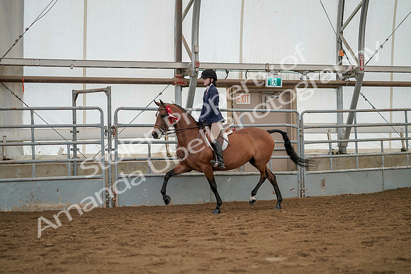 July 20, 2019 - 03497