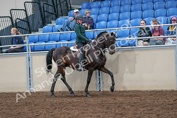 2020 - AB Morgan Horse - Sat, Sept 05 - 05147