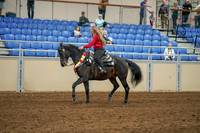 2020 - AB Morgan Horse - Sat, Sept 05 - 10364