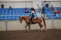 2019 Morgan Horse Show - Aug 30, 2019 - 25880