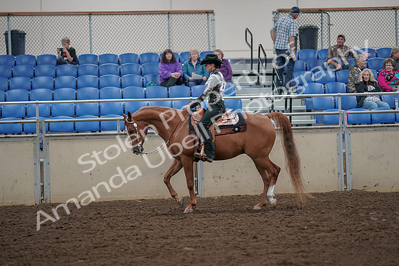 2019 Morgan Horse Show - Aug 30, 2019 - 25880