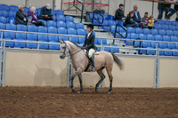 2020 - AB Morgan Horse - Sat, Sept 05 - 01181