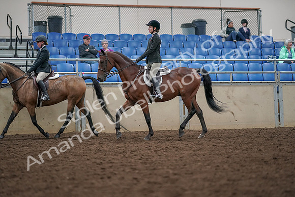 2019 Morgan Horse Show - Aug 30, 2019 - 20458