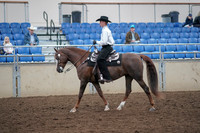 2019 Morgan Horse Show - Aug 31, 2019 - 14117