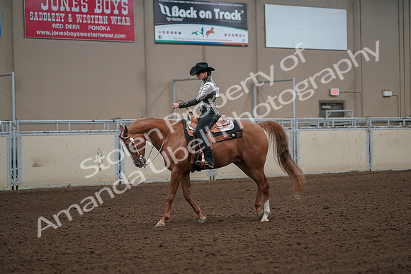2019 Morgan Horse Show - Aug 30, 2019 - 26045