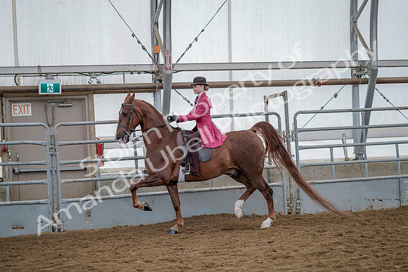 July 20, 2019 - 14502