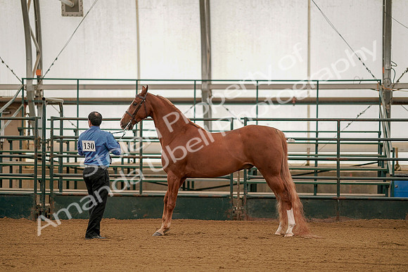 July 19, 2019 - 104