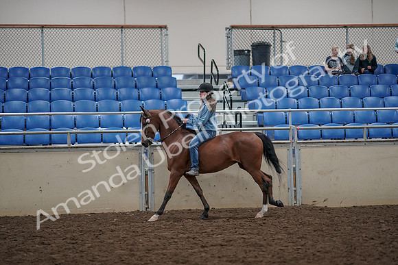 2019 Morgan Horse Show - Aug 30, 2019 - 31321