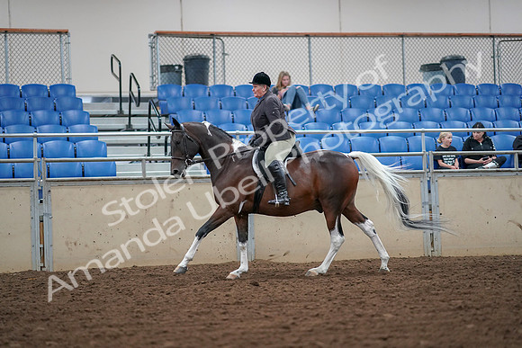 2019 Morgan Horse Show - Aug 30, 2019 - 16336