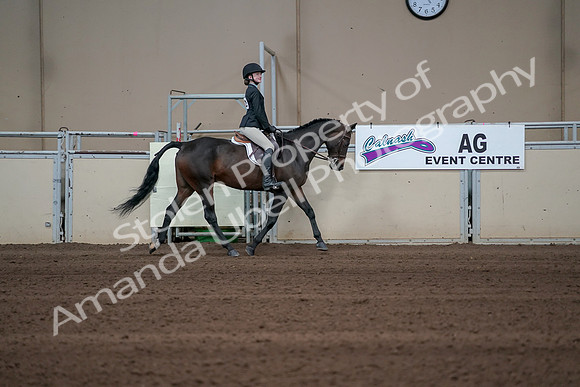 2019 Morgan Horse Show - Sept 01, 2019 - 03803