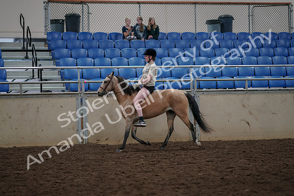2019 Morgan Horse Show - Aug 30, 2019 - 31065