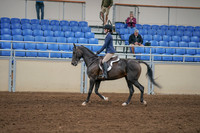 2020 - AB Morgan Horse - Sat, Sept 05 - 01171
