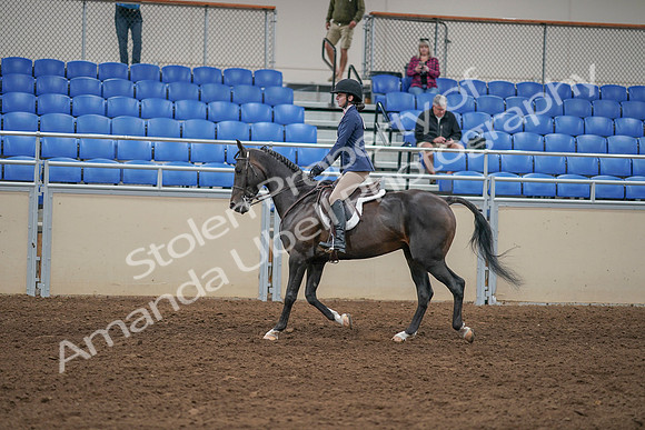 2020 - AB Morgan Horse - Sat, Sept 05 - 01171