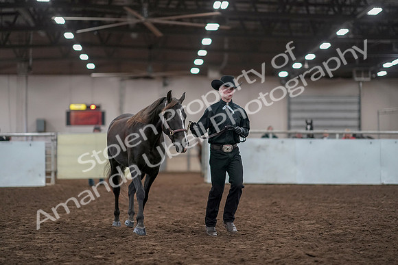 2019 Morgan Horse Show - Aug 31, 2019 - 01908