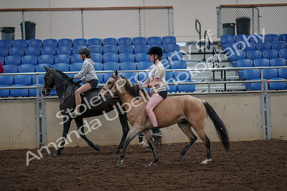 2019 Morgan Horse Show - Aug 30, 2019 - 31234