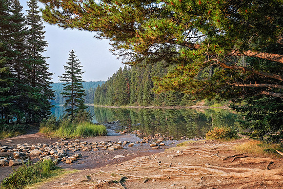 Banff Aug 2018 - 00669