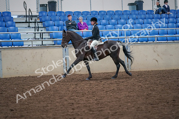 2019 Morgan Horse Show - Aug 30, 2019 - 20535