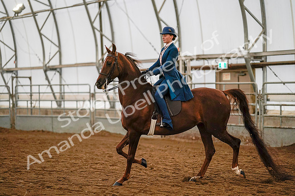 July 19, 2019 - 8833