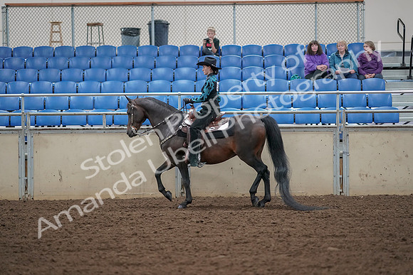 2019 Morgan Horse Show - Aug 30, 2019 - 25899
