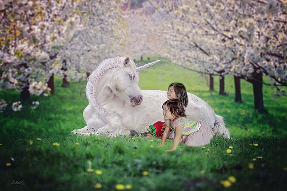 Acvedo - Unicorn-1