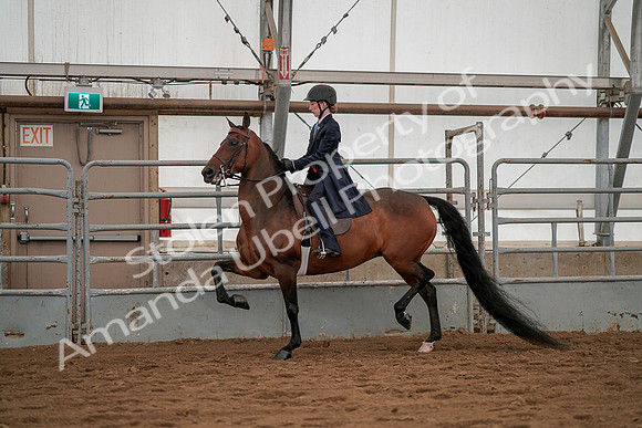 July 19, 2019 - 3804