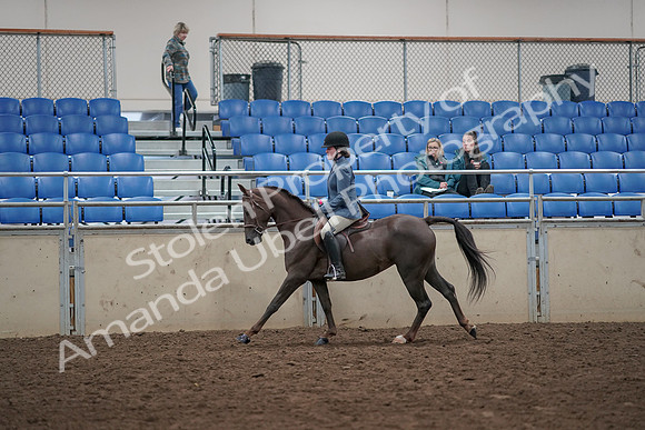 2019 Morgan Horse Show - Aug 31, 2019 - 07341