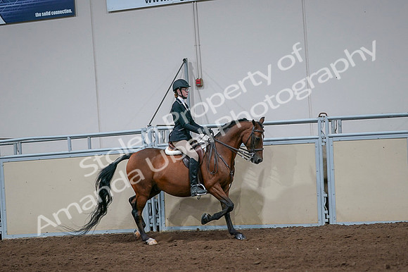 2020 - AB Morgan Horse - Fri, Sept 04 - 06007