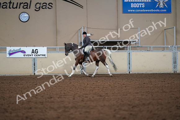 2019 Morgan Horse Show - Aug 30, 2019 - 16155