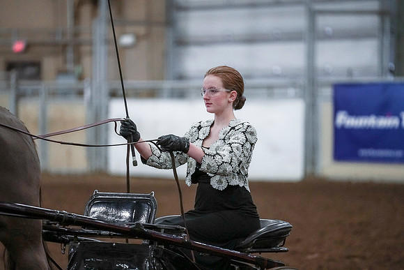 Spring Fling - Saturday - April 20, 2019  -  00310