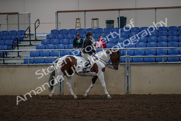 2019 Morgan Horse Show - Aug 30, 2019 - 31413