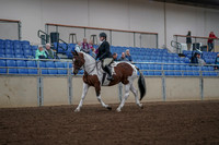 Class 017 - All Breed Adult Equitation