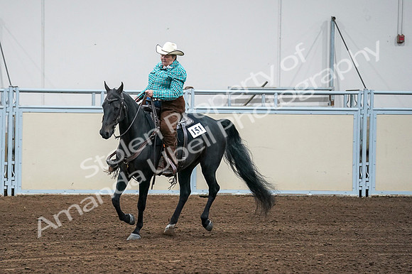 2020 - AB Morgan Horse - Fri, Sept 04 - 00505