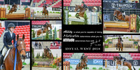 Ability Motivation - 10 photos - 10x20