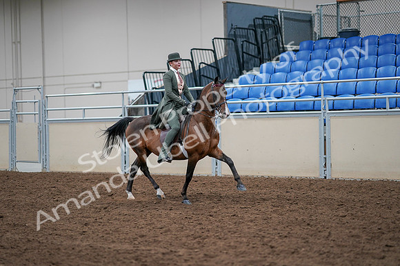 2020 - AB Morgan Horse - Fri, Sept 04 - 03415