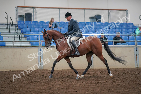 2019 Morgan Horse Show - Aug 30, 2019 - 16123