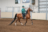 2020 - AB Morgan Horse - Fri, Sept 04 - 08679