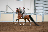2020 - AB Morgan Horse - Sat, Sept 05 - 12089