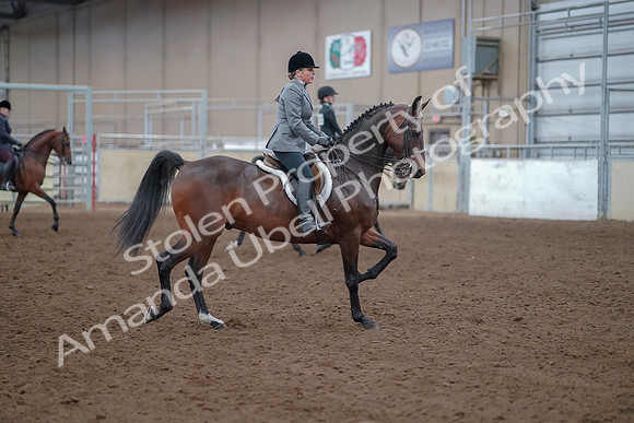 2019 Morgan Horse Show - Aug 30, 2019 - 20667