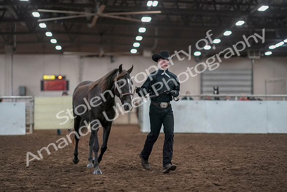 2019 Morgan Horse Show - Aug 31, 2019 - 01910