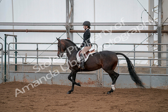 July 19, 2019 - 2297