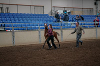 2019 Morgan Horse Show - Aug 31, 2019 - 00372