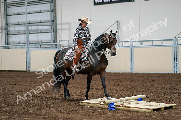 2020 - AB Morgan Horse - Fri, Sept 04 - 00312