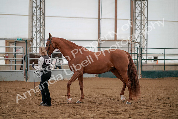 July 19, 2019 - 938