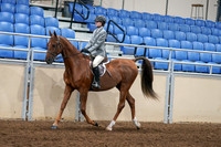 2020 - AB Morgan Horse - Fri, Sept 04 - 02956