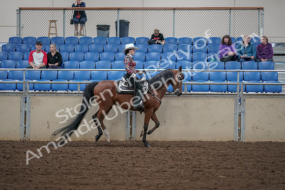 2019 Morgan Horse Show - Aug 30, 2019 - 26205