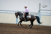 2020 - AB Morgan Horse - Fri, Sept 04 - 00549