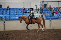 2019 Morgan Horse Show - Aug 30, 2019 - 25878
