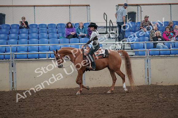 2019 Morgan Horse Show - Aug 30, 2019 - 25878