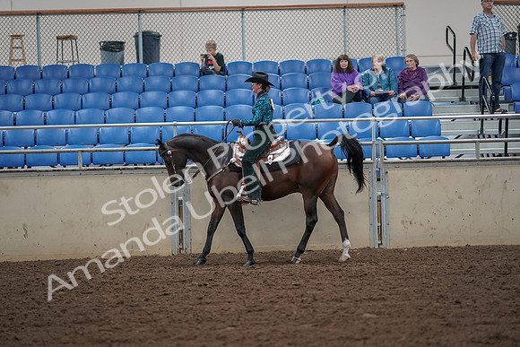 2019 Morgan Horse Show - Aug 30, 2019 - 25912